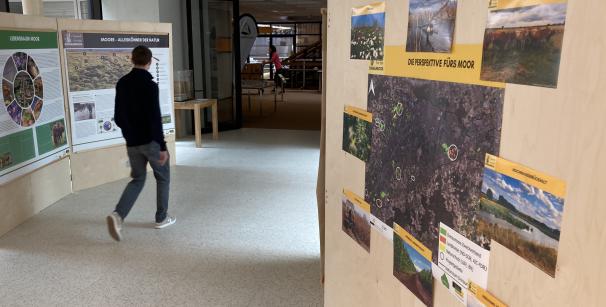 Ausstellung im Innenraum eines modernen Gebäudes mit Stellwänden zur Bedeutung und Wiedervernässung von Mooren, insbesondere dem Donaumoos. Links sind Infotafeln mit Titeln wie „Lebensraum Moor“ und „Moore – Alleskönner der Natur“ zu sehen. Rechts eine Karte mit der Überschrift „Die Perspektive fürs Moor“, umgeben von Fotos mit Begriffen wie „Moorvernässung“, „Beweidung“ und „Hochwasserschutz“. Eine Person geht an der Ausstellung vorbei.